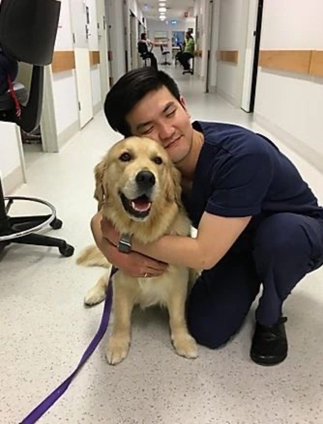 A nurse hugging a golden retriever PAWS dog in a hospital corridor