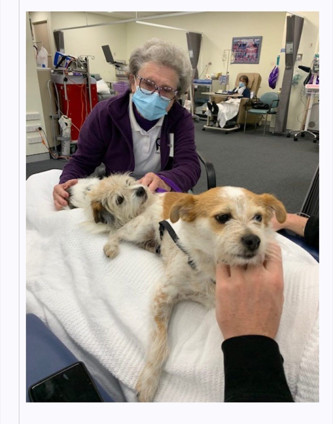 A resident in a mask with two small PAWS dogs on her bed