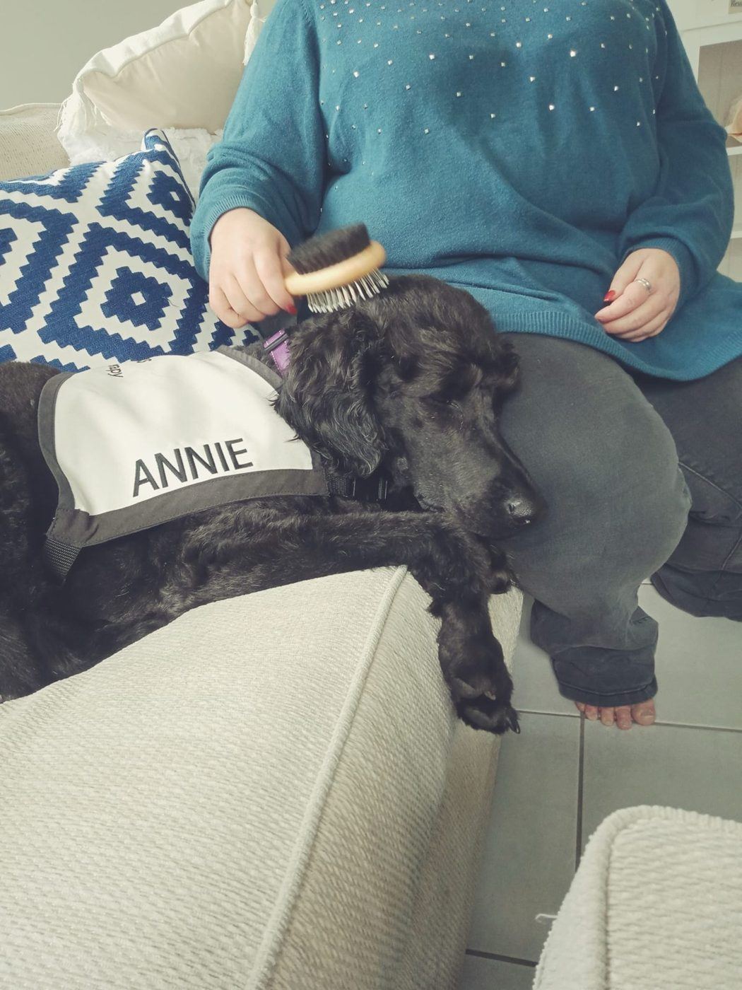 A resident patting a black PAWS dog