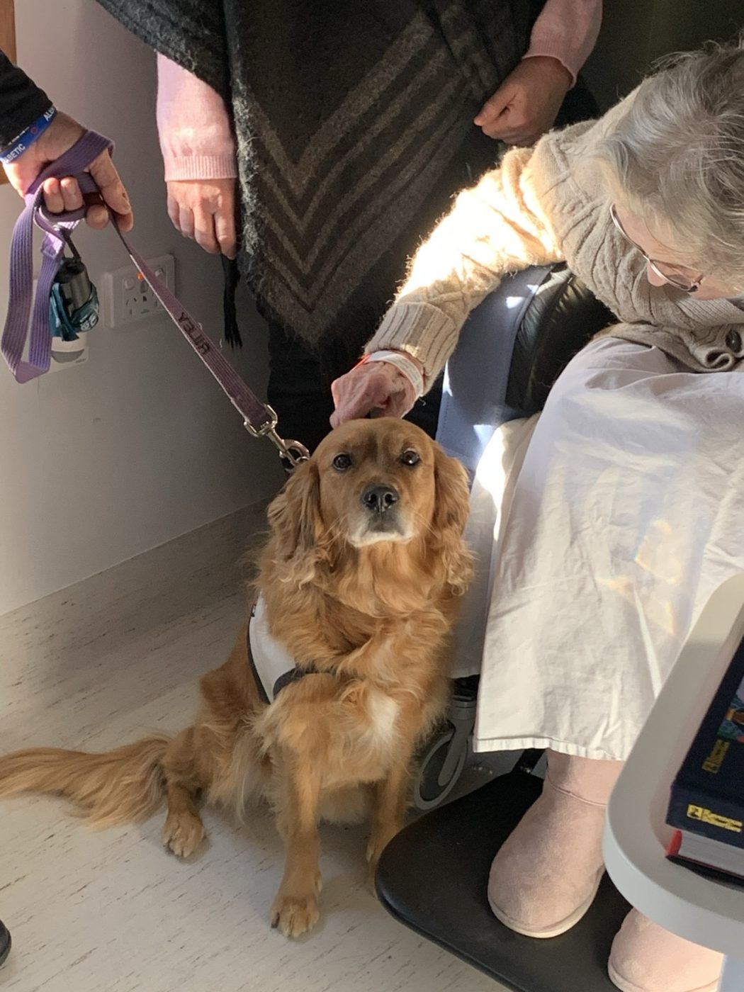 A resident patting a golden PAWS dog beside her chair