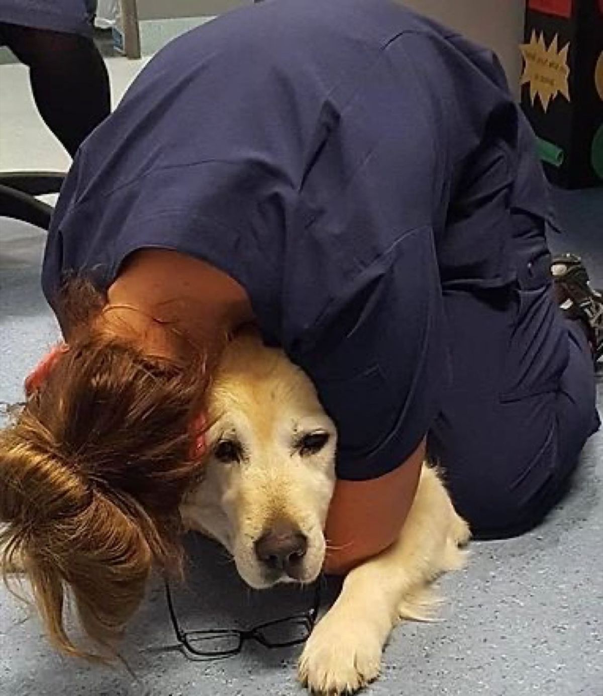 A volunteer hugging a golden retriever, face buried in its fur