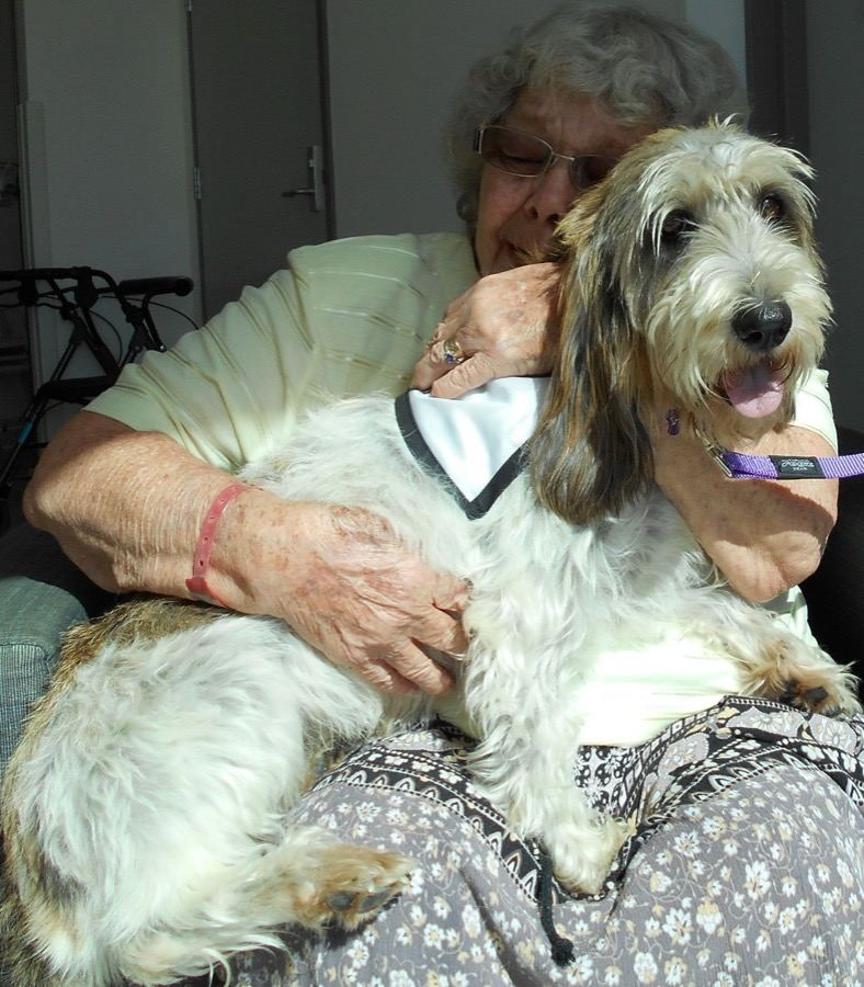An elderly woman hugging a PAWS therapy dog in aged care
