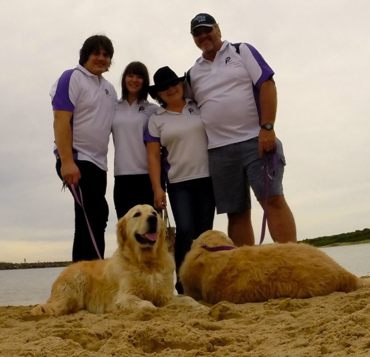 A family of PAWS volunteers with two golden retrievers on the beach