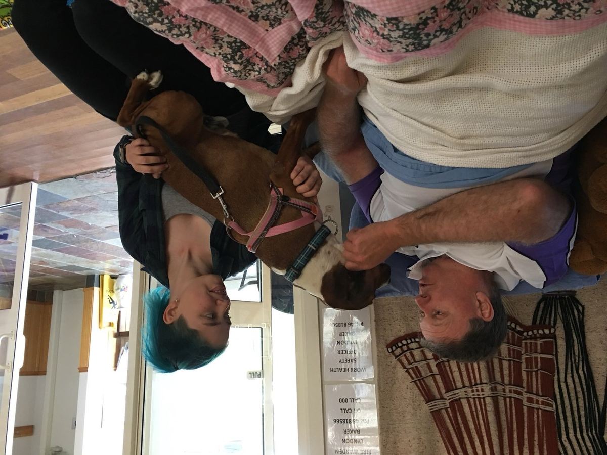 A PAWS therapy dog relaxing on a lap during a bedside visit
