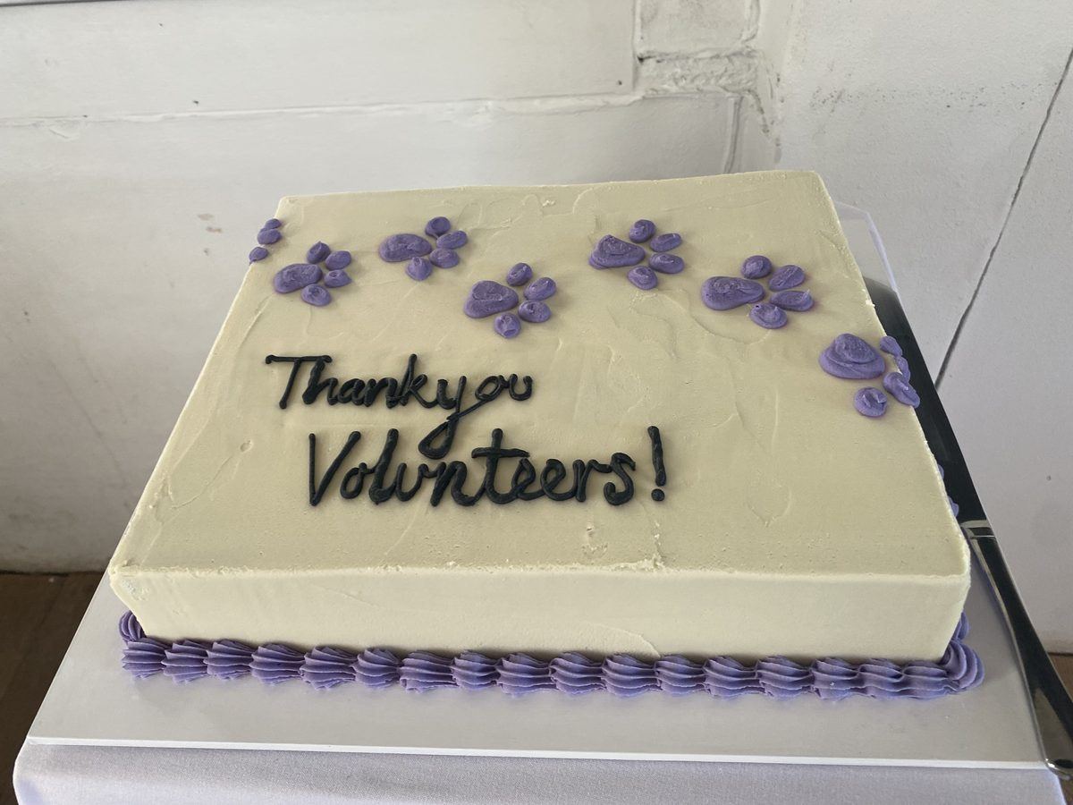 A cake iced with Thank you Volunteers