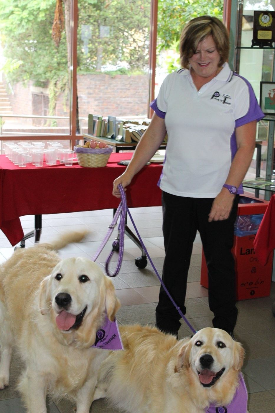 A PAWS volunteer with her golden retriever therapy dog at an event table