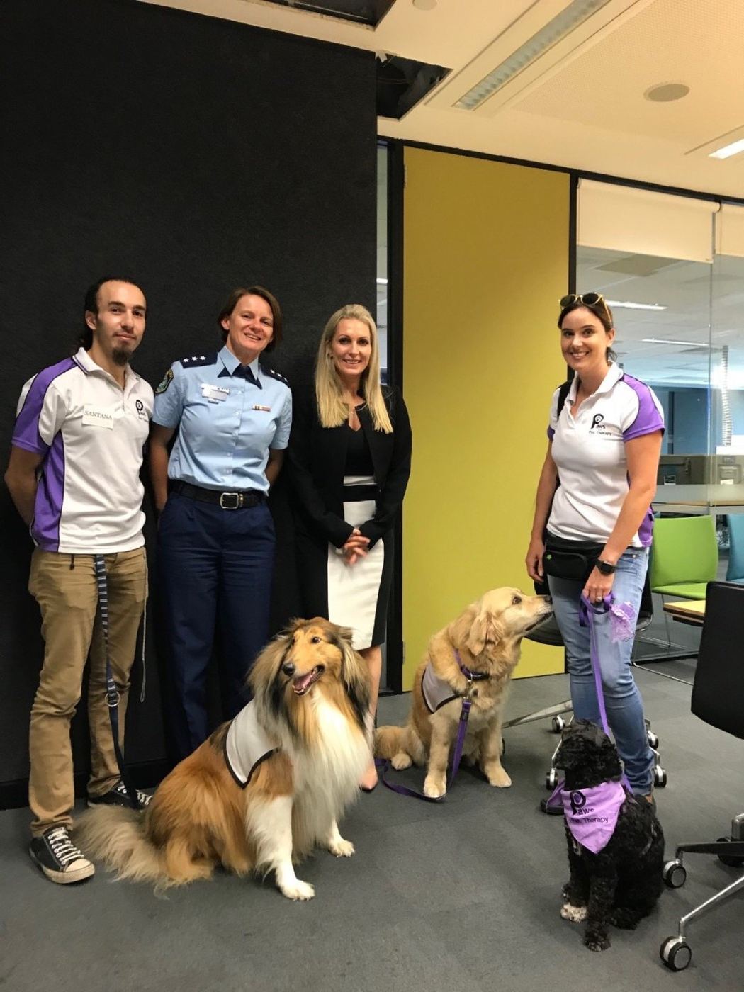 Five PAWS volunteers and their dogs, a formal team photo