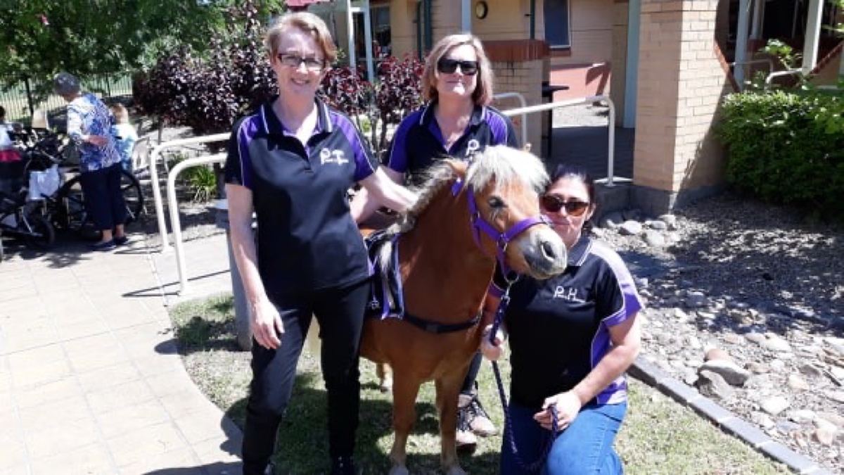 Three PAWS'n'Hooves volunteers with a pony at an aged care visit