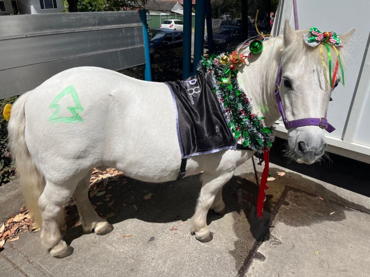 A PAWS'n'Hooves pony dressed up with Christmas decorations