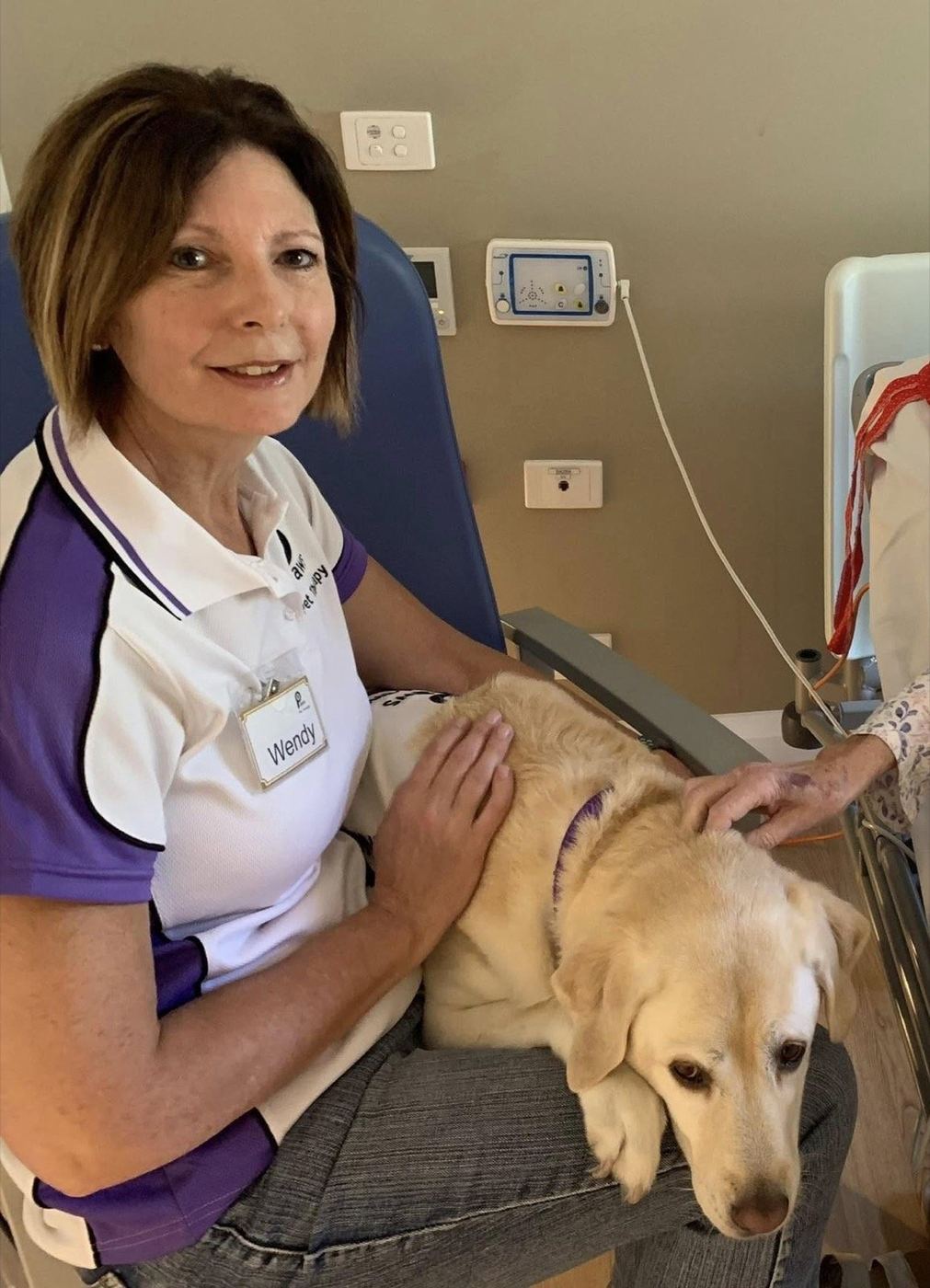 A patient in a hospital bed with a golden retriever PAWS therapy dog