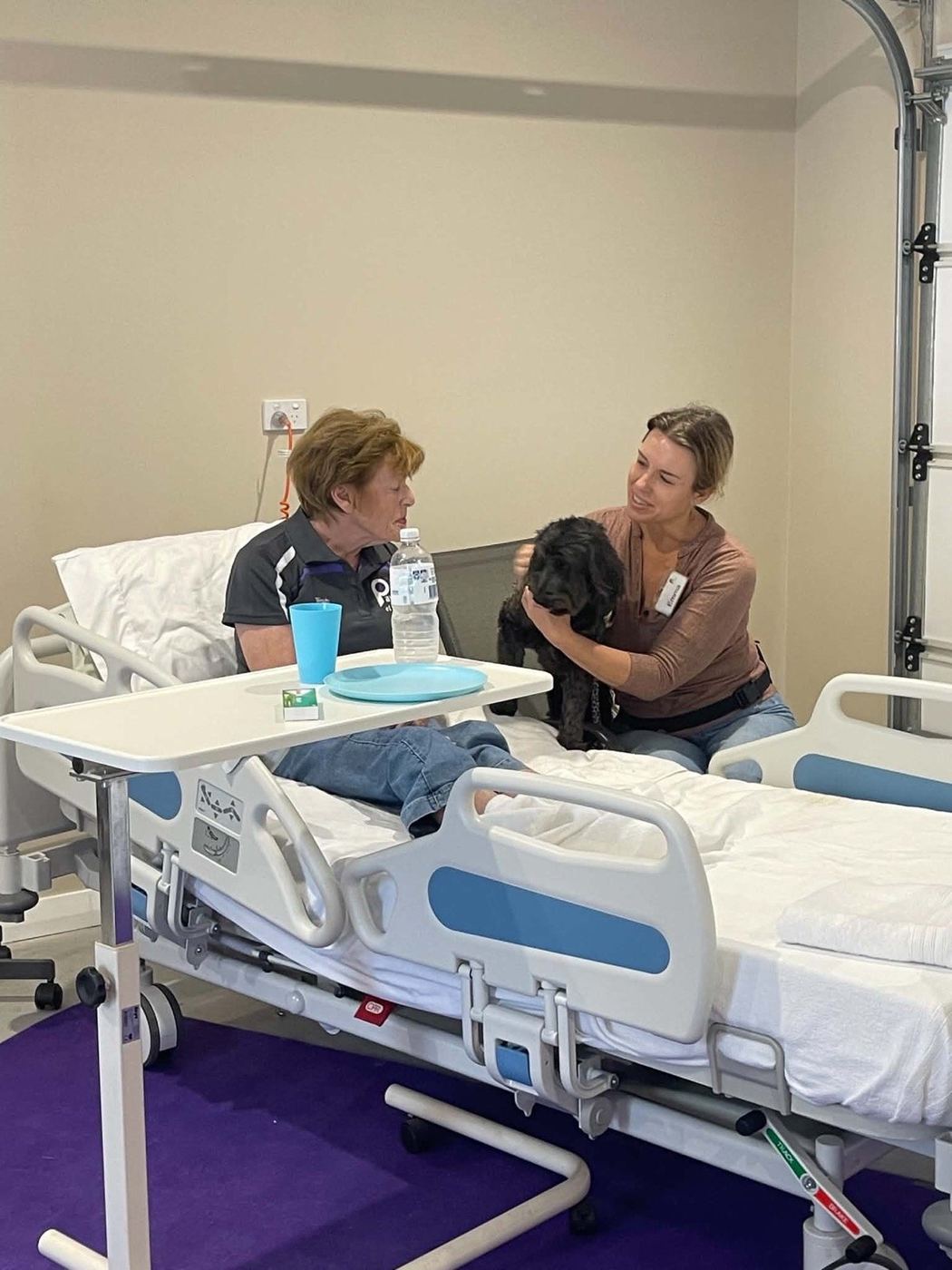 A PAWS volunteer chatting with a patient beside a hospital bed