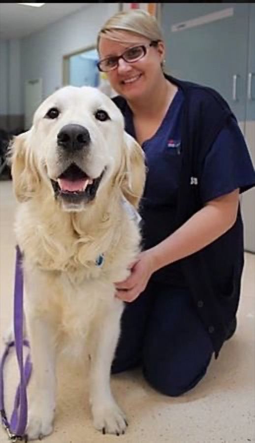 A nurse kneeling beside a PAWS therapy dog in a hospital corridor