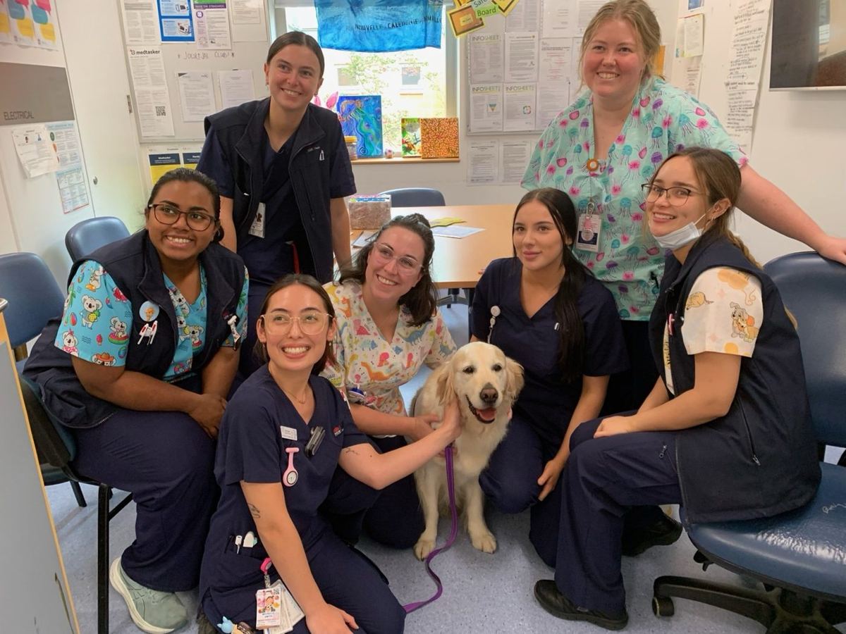 Hospital staff gathered with a PAWS dog