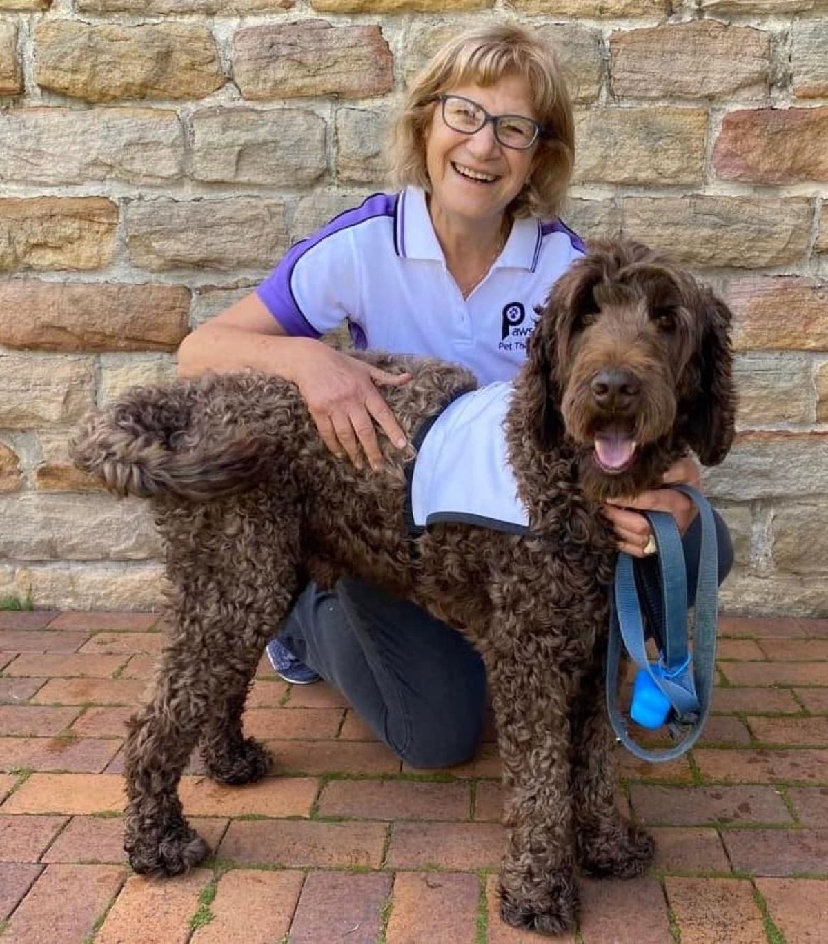 A volunteer kneeling with her labradoodle PAWS therapy dog by a stone wall