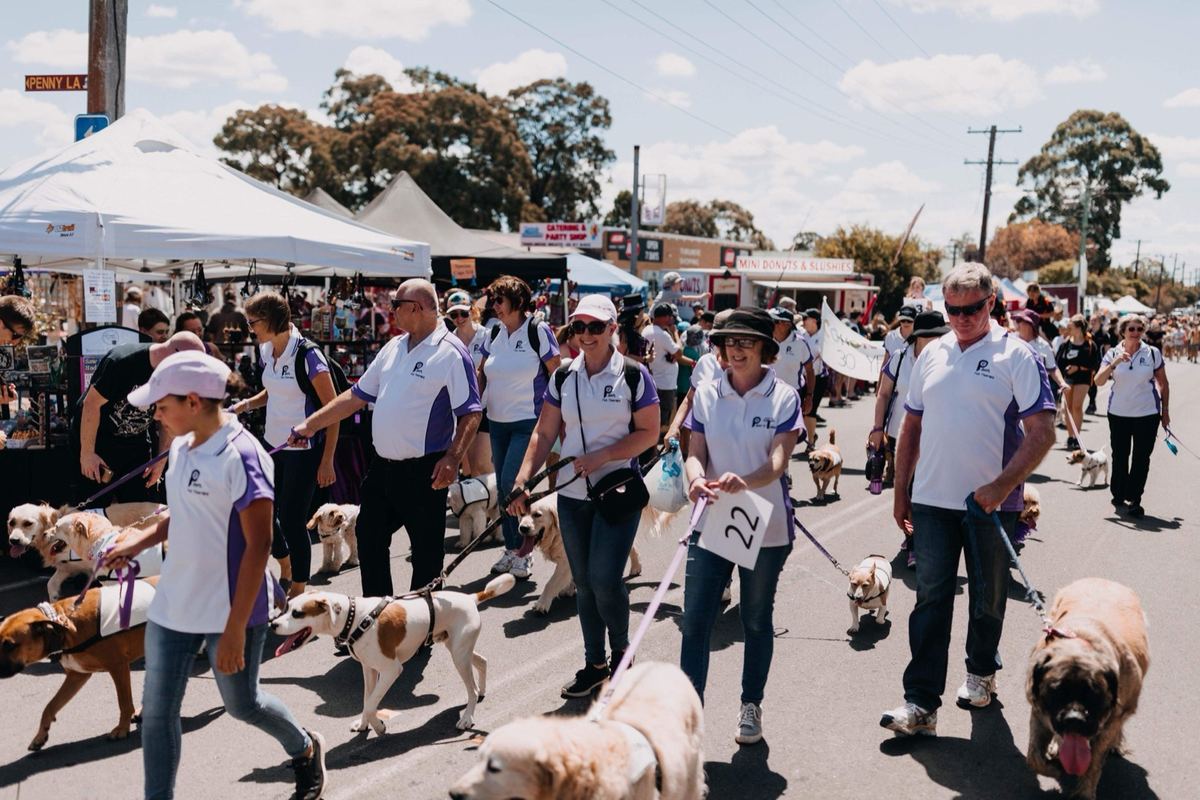 PAWS volunteers walking their dogs through a street market
