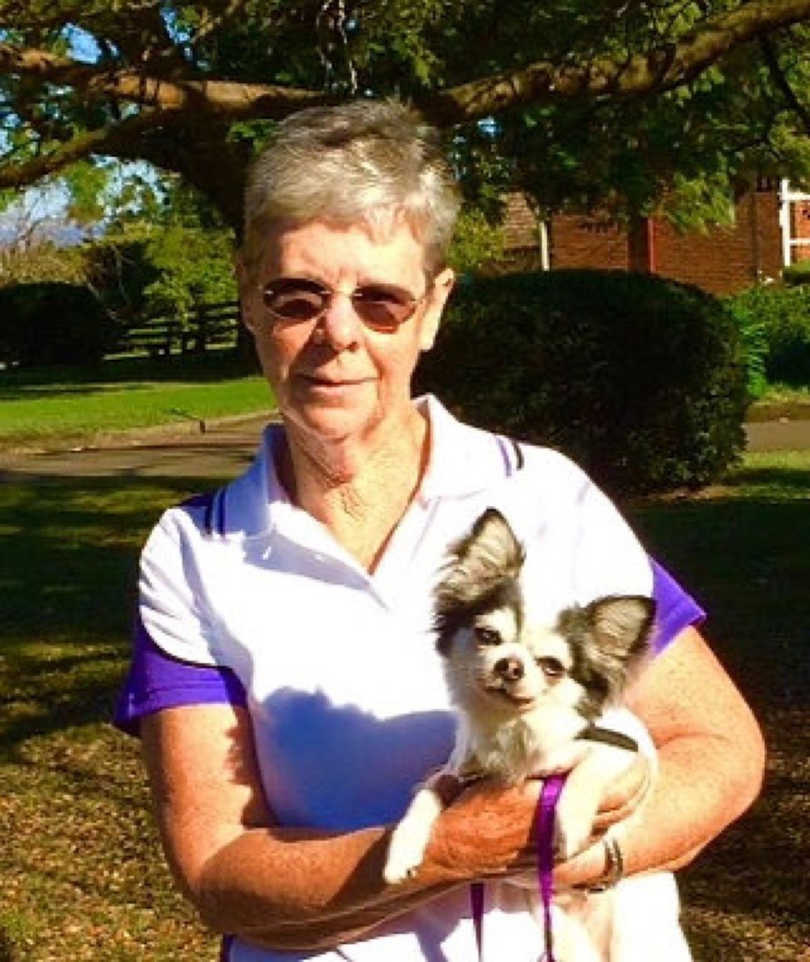 PAWS volunteers and dogs at an outdoor market stall