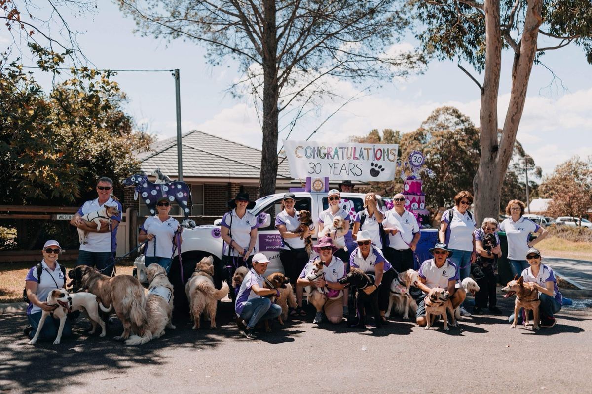 A large group of PAWS volunteers and their dogs at a community parade