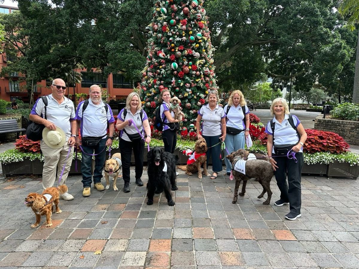 PAWS teams at a Christmas event outdoors