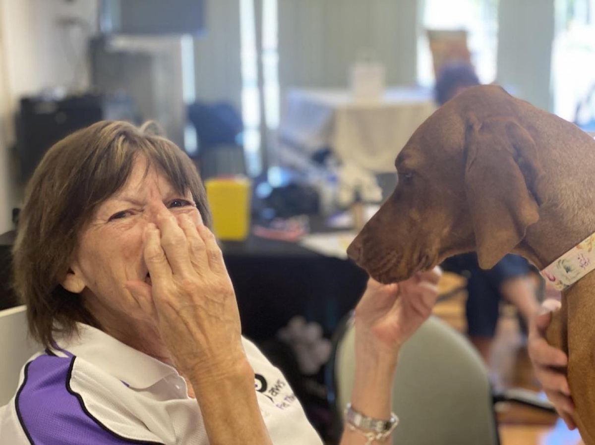 A joyful PAWS therapy dog with its paws up, being patted