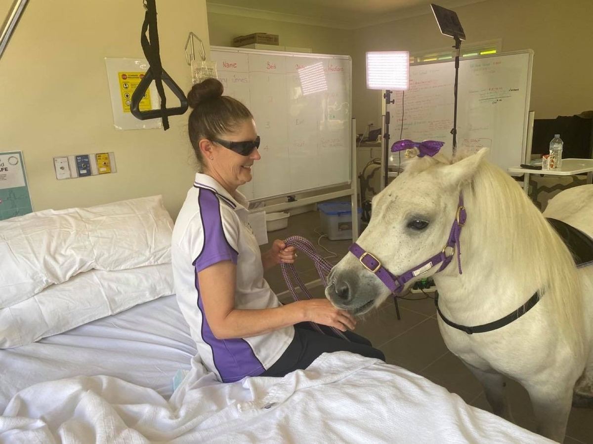 A PAWS'n'Hooves pony visiting a patient indoors