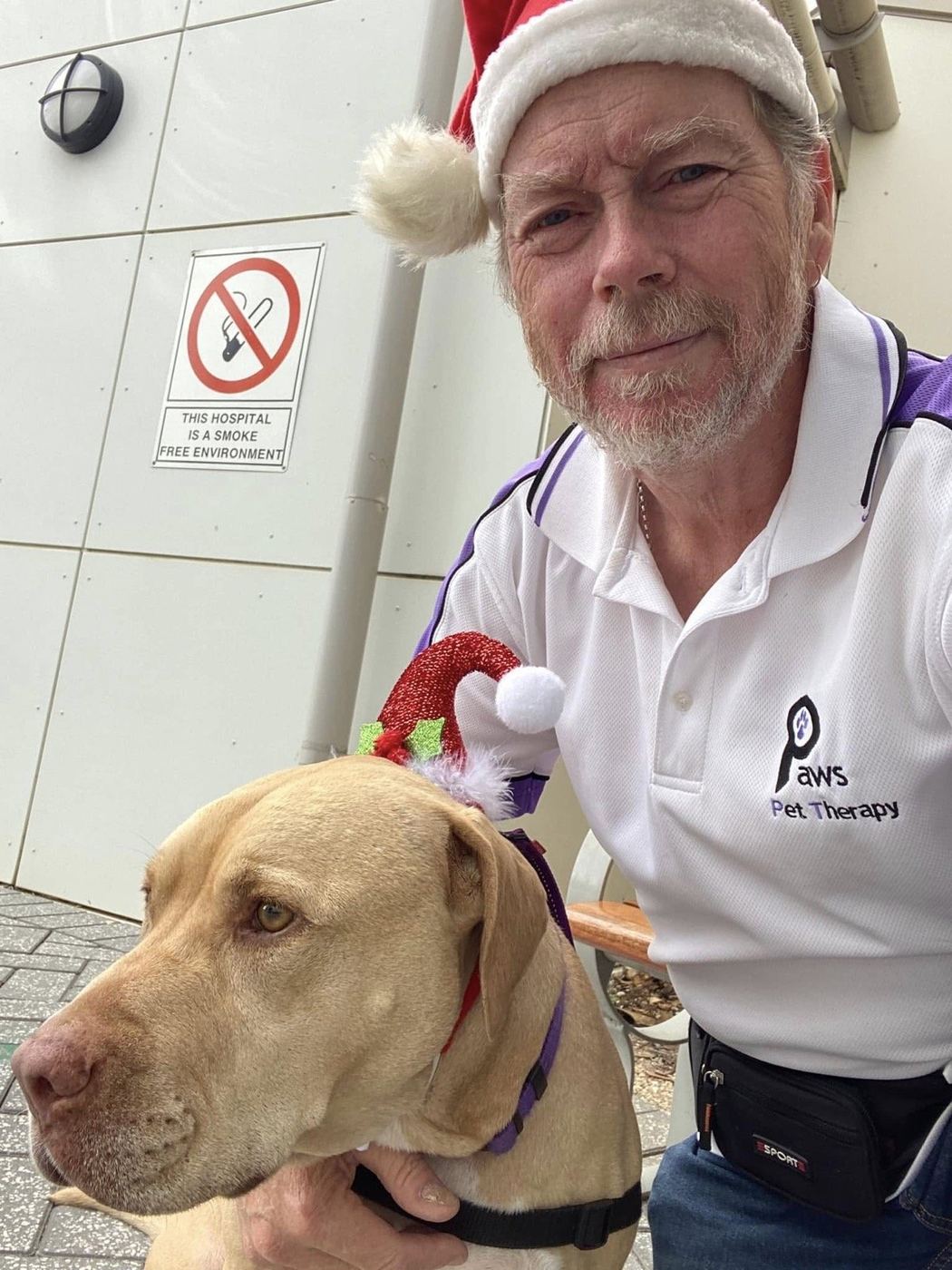 A volunteer in a Santa hat visiting with his PAWS therapy dog