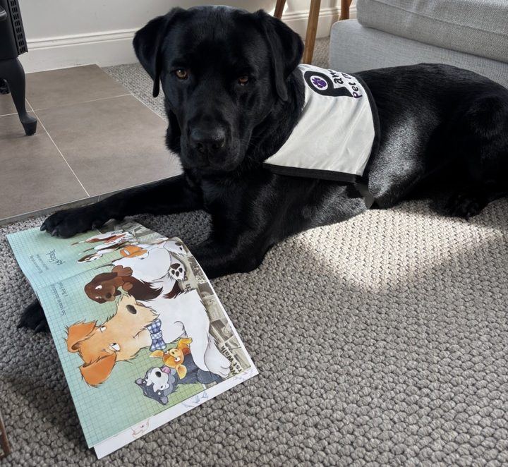 A black labrador lying beside a children's picture book