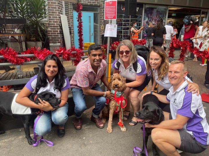 A crowd of PAWS teams at an event