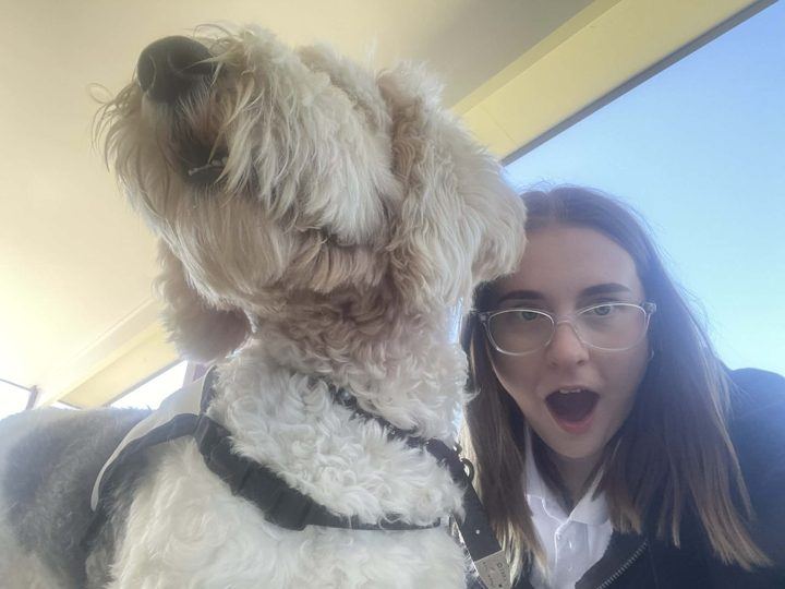 A delighted girl with a fluffy PAWS dog