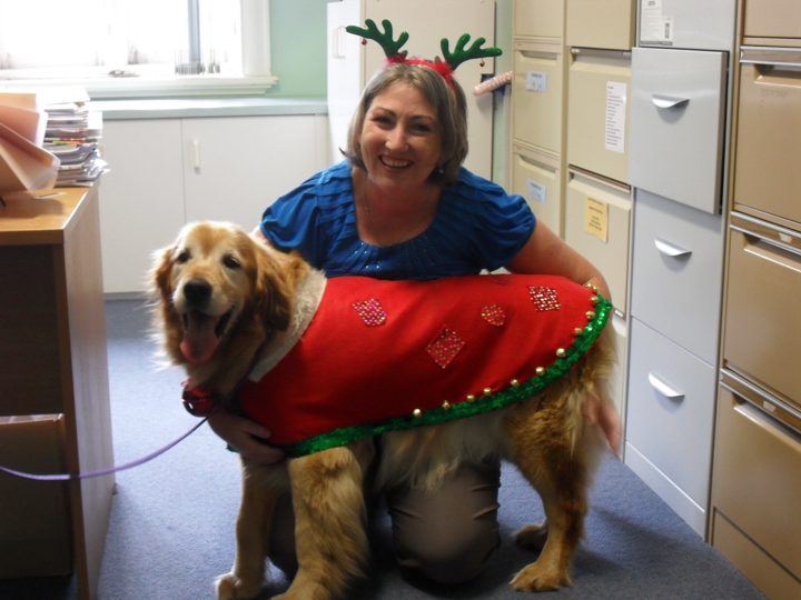 A dog in a Christmas coat with a volunteer in antlers