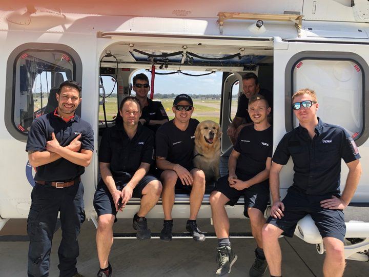 A group of volunteers seated with their dogs
