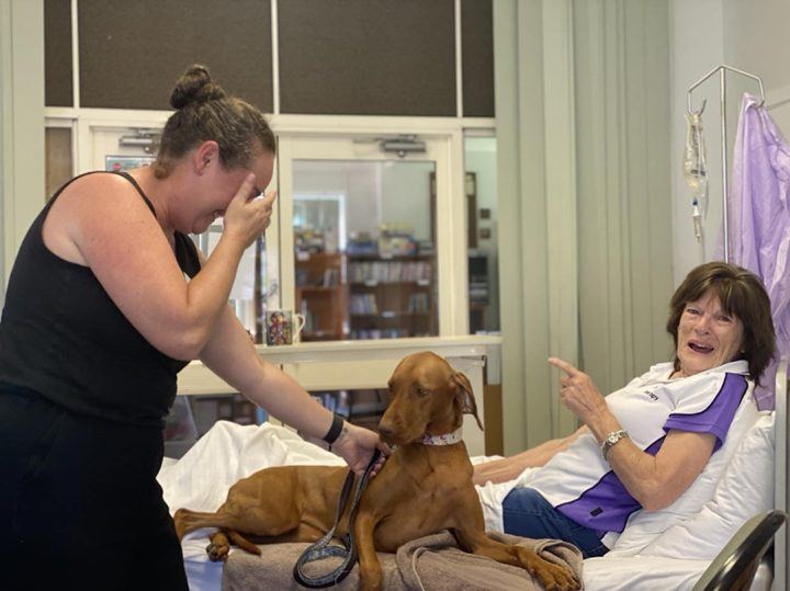 A patient smiling at a PAWS dog beside her bed