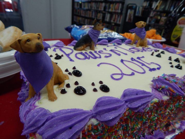 A PAWS celebration cake