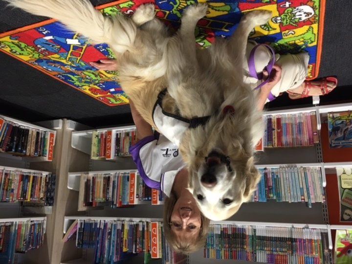 A PAWS dog visiting a school library
