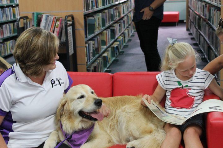 A PAWS dog visiting residents in a library lounge