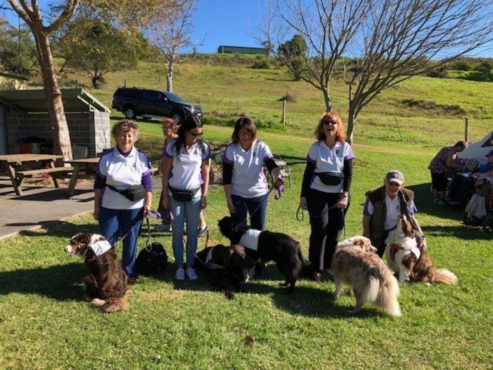 A PAWS group with their dogs on a grassy hillside