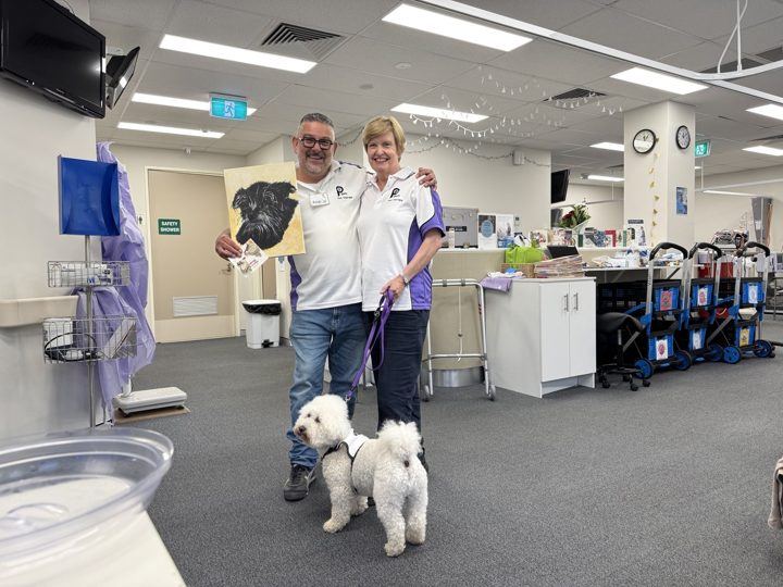 A PAWS team visiting a hospital ward