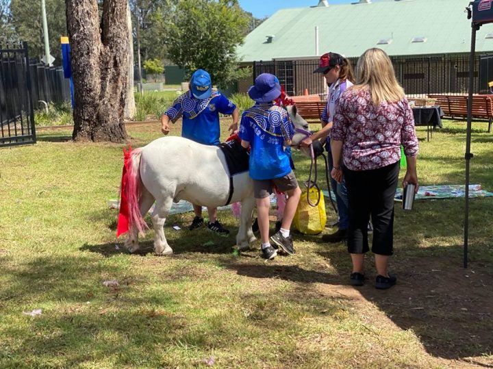 A PAWS'n'Hooves pony visiting a crowd outdoors