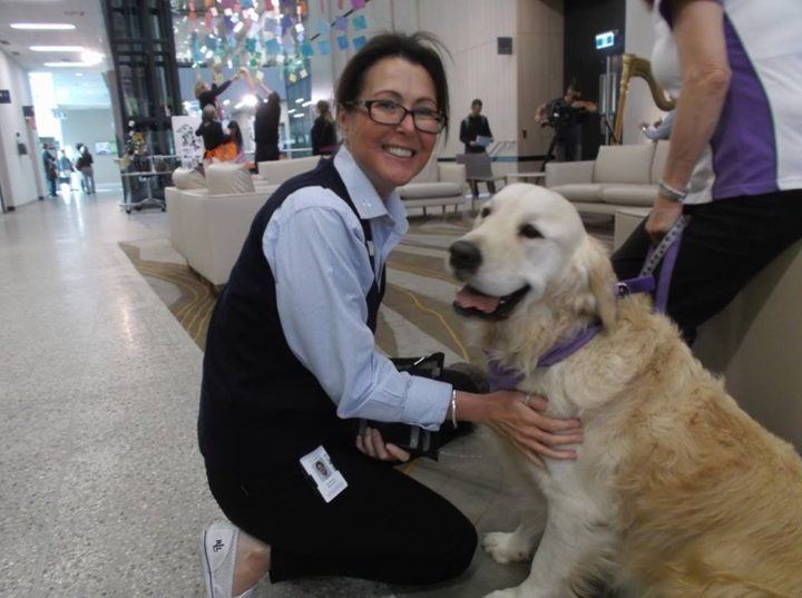 A volunteer crouching beside her golden retriever