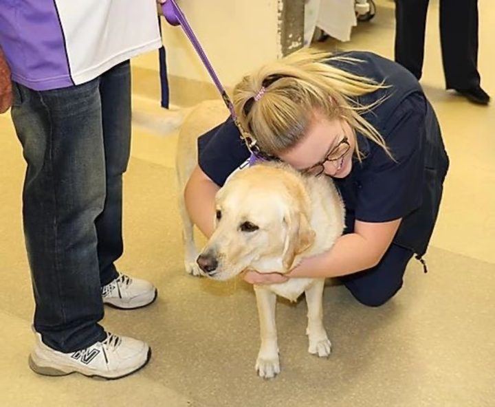 A volunteer hugging her golden retriever