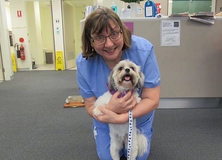 A volunteer in scrubs cuddling a small dog