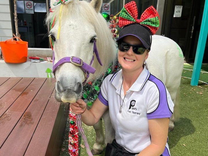 A volunteer with a pony in reindeer antlers