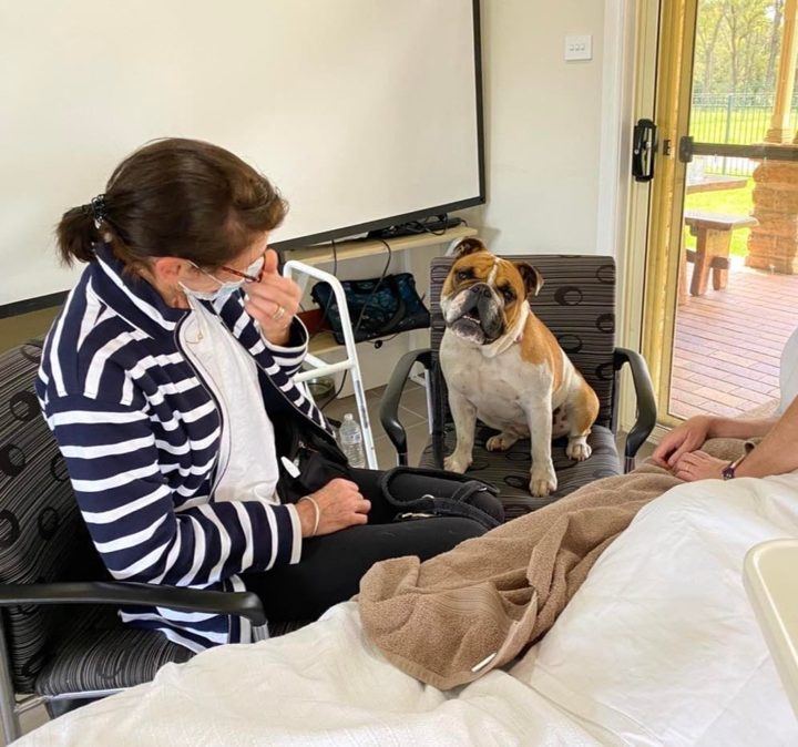 An aged care resident patting a PAWS dog