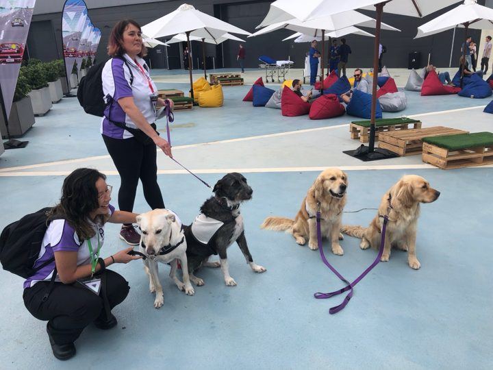 PAWS teams on a school visit