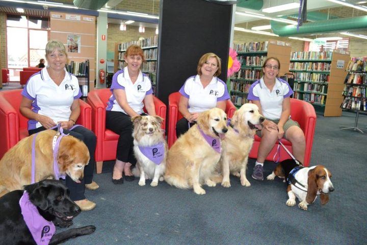 PAWS teams visiting a library with their dogs
