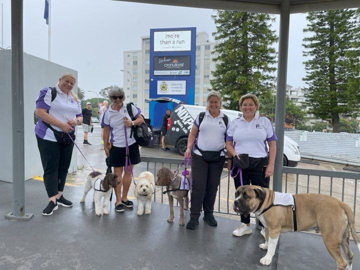 PAWS volunteers and dogs at a street event