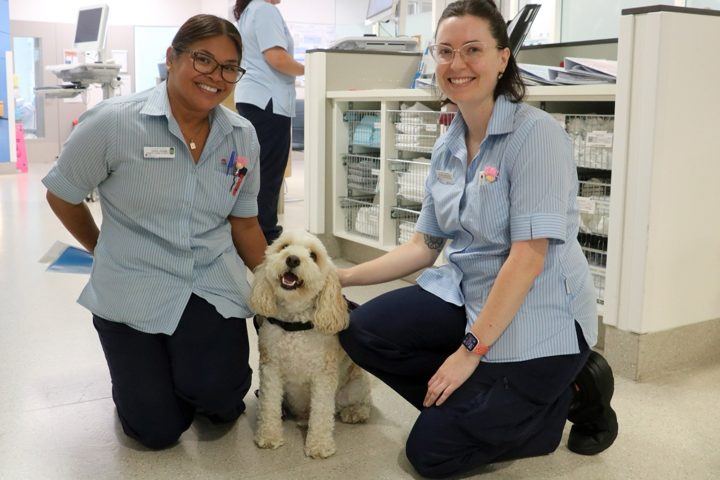 Two PAWS volunteers kneeling with a dog at a school