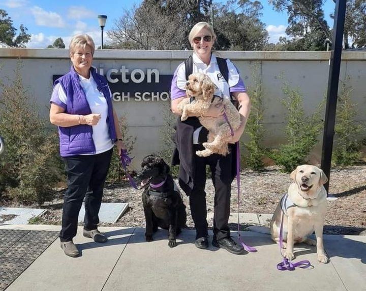Two PAWS volunteers outside a school with their dogs