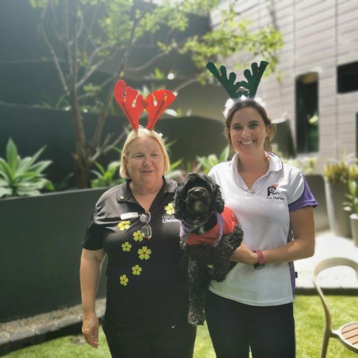 Two volunteers in Christmas antlers with a small dog