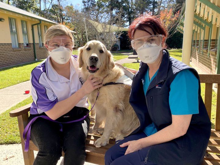 Two volunteers in masks with their golden retriever