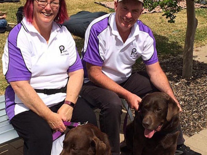 Two volunteers seated with their chocolate labradors